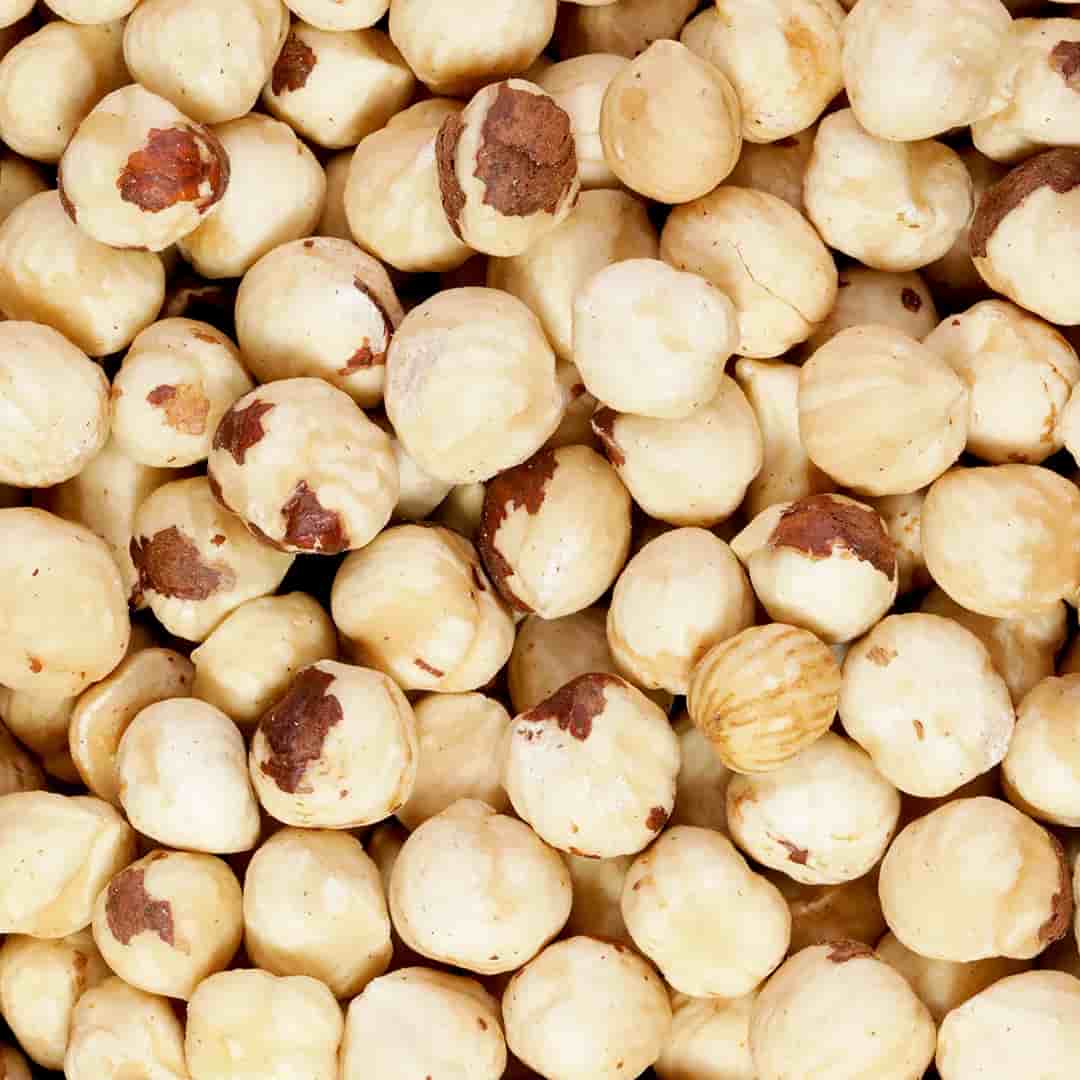 تصویر 1 از قیمت خرید مغز فندق خام عمده به صرفه و ارزان