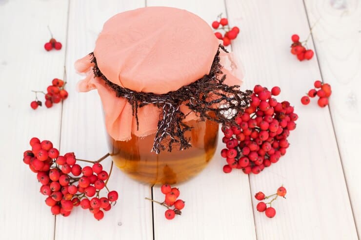 تصویر 3 از خرید و قیمت عسل تک گل زرشک + فروش عمده