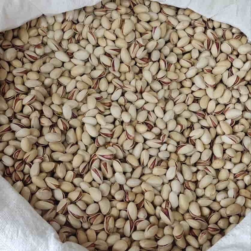 تصویر 1 از فروش پسته کله قوچی + قیمت خرید به صرفه