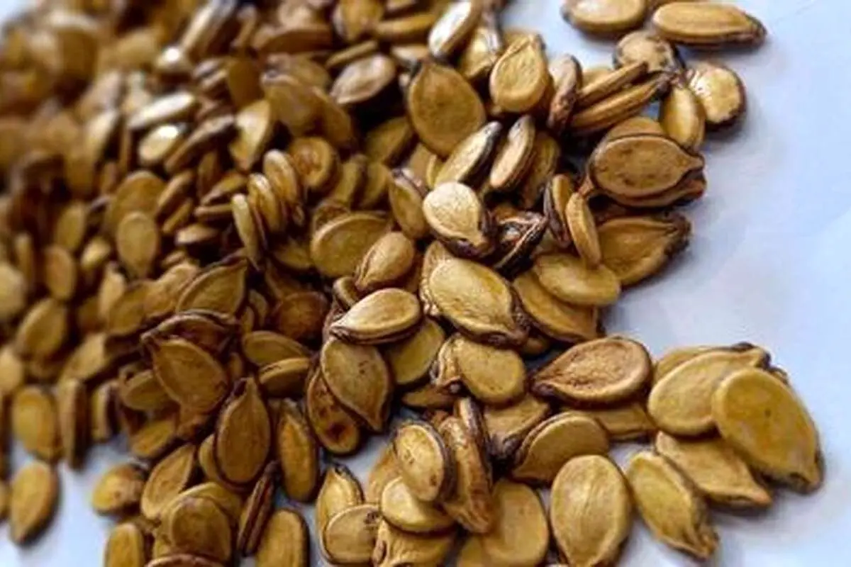 تصویر 4 از قیمت تخمه هندونه درجه یک + خرید باورنکردنی