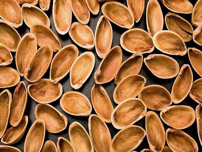تصویر 3 از فروش پوست استخوانی پسته + قیمت خرید به صرفه