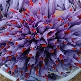 تصویر 4 از خرید زعفران نگین خراسان + قیمت استثنایی