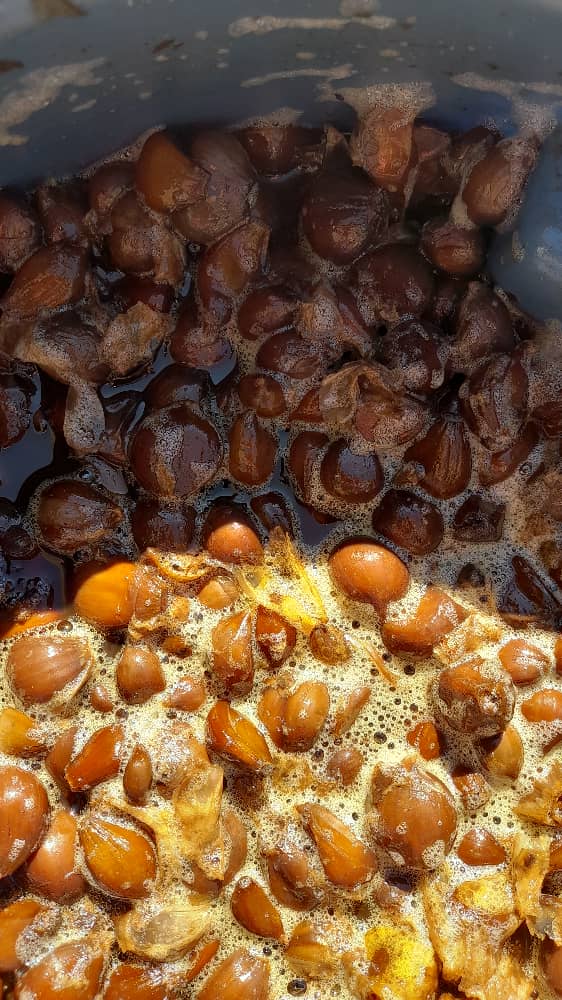 تصویر 1 از سیر ترشی ۷ ساله باکیفیت + قیمت عمده
