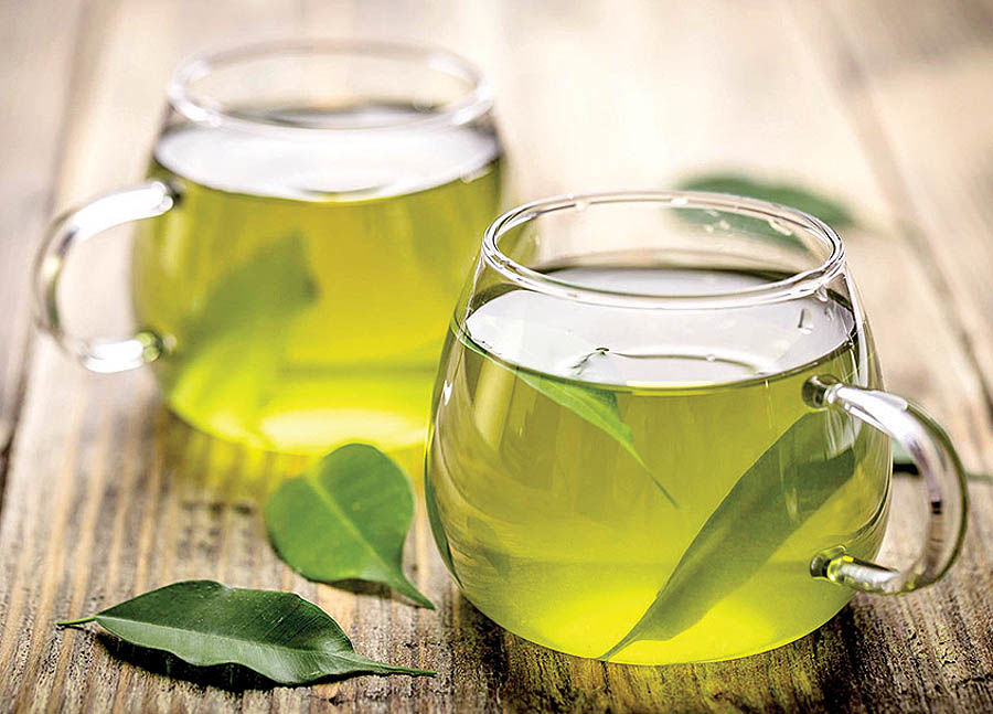تصویر 2 از فروش چای سبز ممتاز ایرانی + قیمت خرید به صرفه