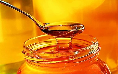 تصویر 1 از قیمت عسل وحشی + خرید باور نکردنی