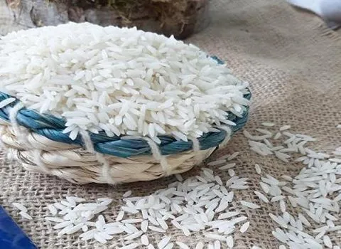 تصویر 1 از قیمت روز برنج ایرانی کامفیروز خوش عطر