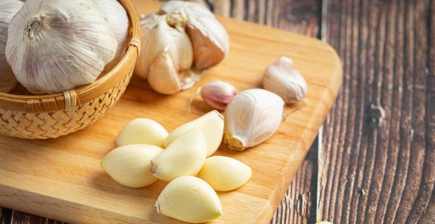 خرید سیر حبه ای