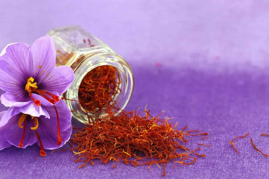 تصویر 1 از قیمت خرید زعفران نگین عمده به صرفه و ارزان
