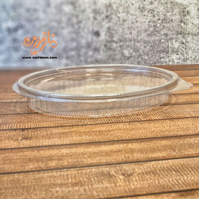 تصویر 2 از خرید و قیمت ظرف یکبار مصرف چند خانه مستطیلی و بیضی شکل + کاربردی و پرفروش