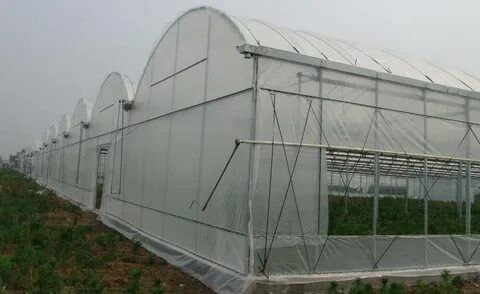 تصویر 2 از قیمت عمده پلاستیک گلخانه پرشین عرض 10 متر  + خرید از کارخانه