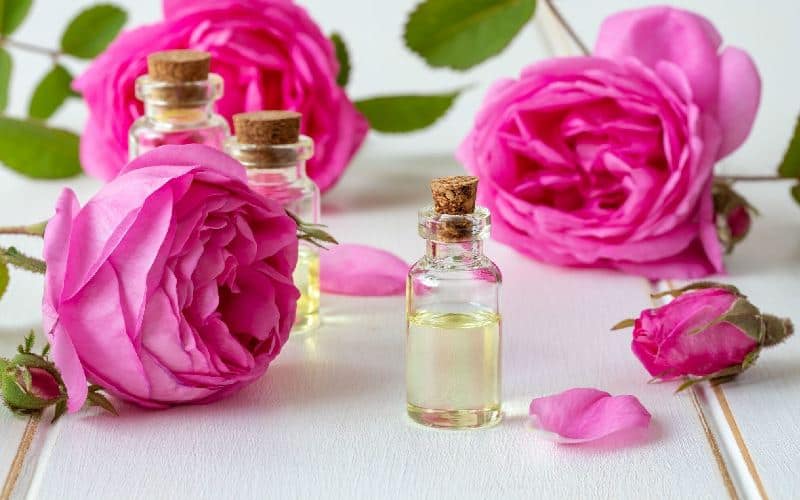 تصویر 2 از خرید و فروش گلاب دو آتیشه با شرایط فوق‌العاده
