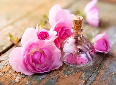 تصویر 1 از خرید و فروش گلاب دو آتیشه با شرایط فوق‌العاده