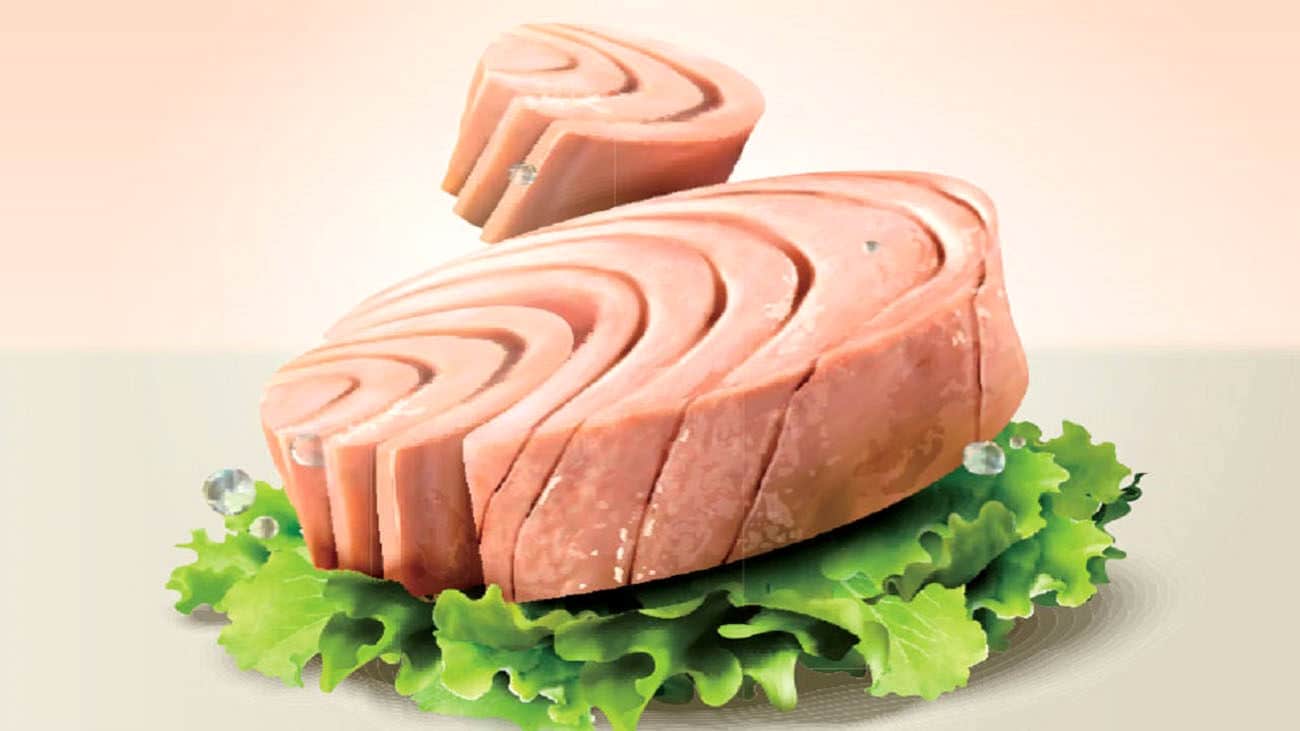 تصویر 2 از قیمت خرید تن ماهی رژیمی + فروش ویژه