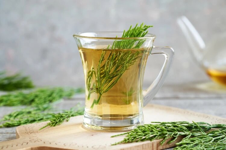 تصویر 1 از فروش عمده عصاره دم اسب مایع گرید A