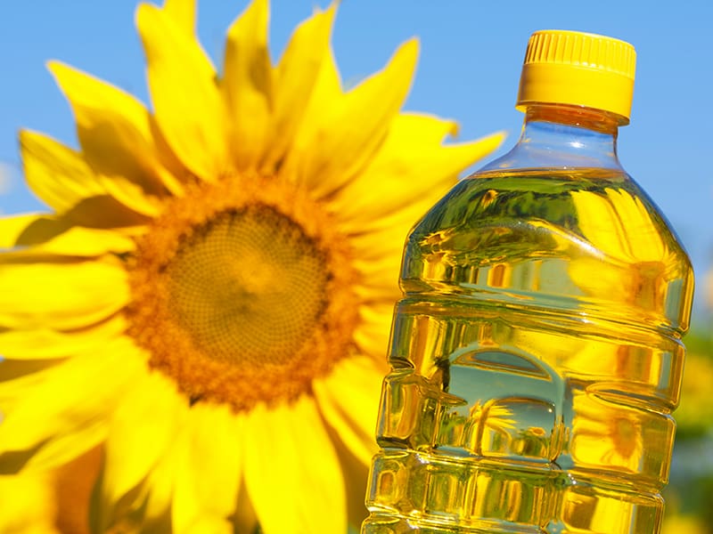 تصویر 4 از قیمت خرید روغن آفتابگردان خام فله + فروش ویژه