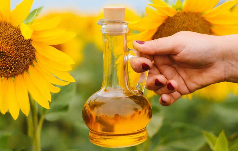 تصویر 2 از قیمت خرید روغن آفتابگردان خام (گالن 20 لیتری) + فروش ویژه
