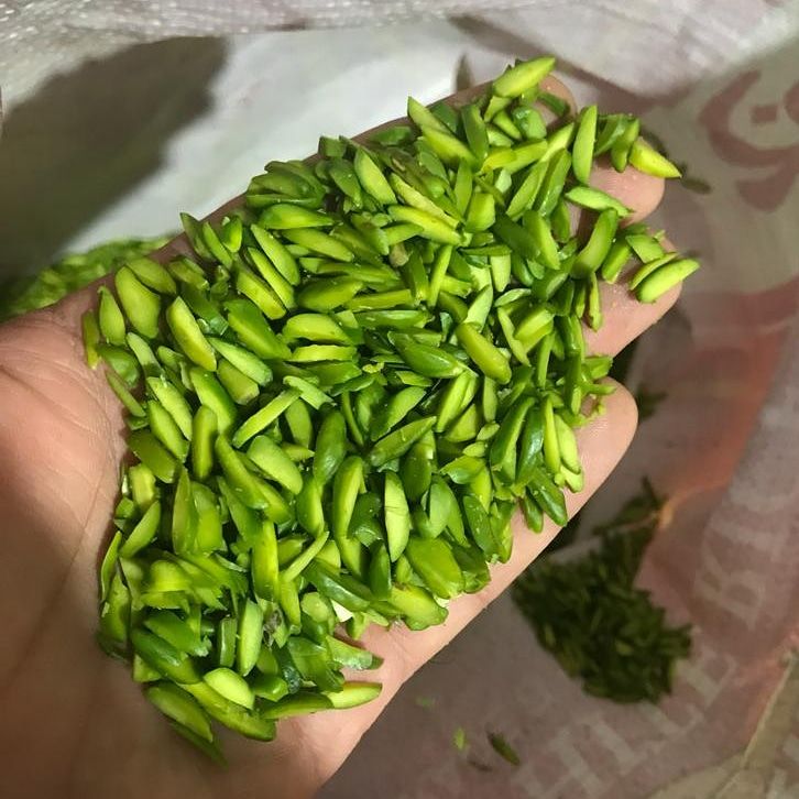 خلال پسته + خرید