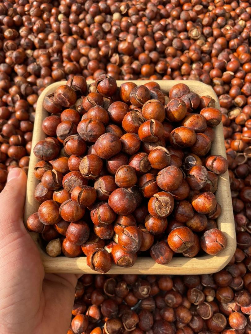 فروش فندق آجیلی شور براق + کیفیت عالی
