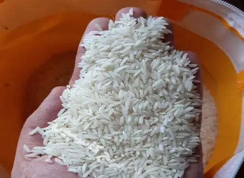 تصویر 3 از فروش بی‌ واسطه و مستقیم برنج کامفیروز زرین فارس