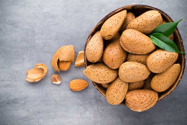 تصویر 1 از خرید بادام سنگی + قیمت استثنایی