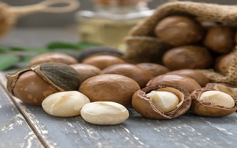 تصویر 4 از خرید و قیمت فندق ماکادمیا + فروش عمده