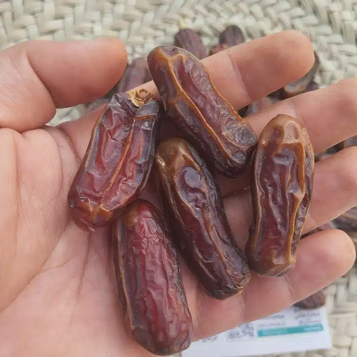 تصویر 3 از فروش خرما شاهانی جهرم قیمت شرکتی