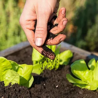 تصویر 1 از خرید هیومیک اسید پودری + قیمت فروش استثنایی