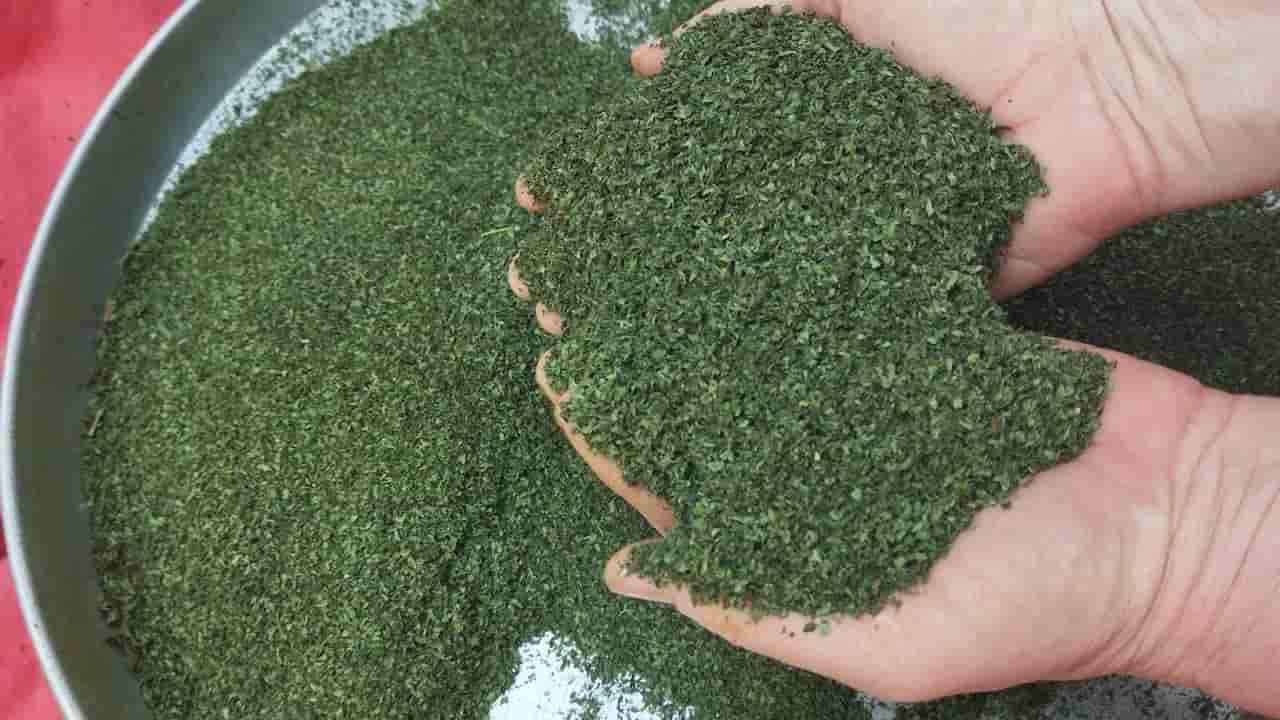 تصویر 4 از خرید و قیمت نعنا خشک محلی + فروش صادراتی
