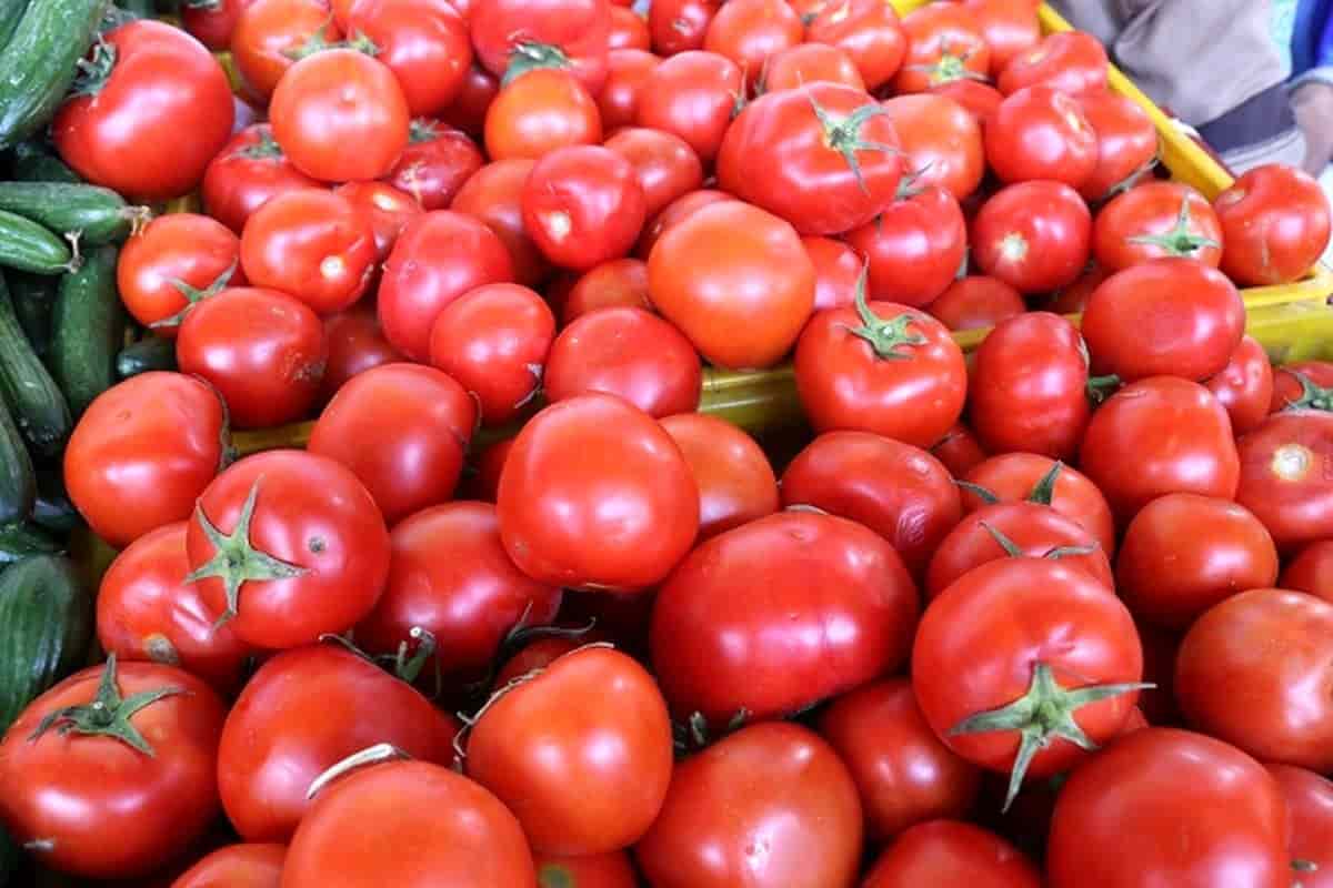 تصویر 3 از خرید و فروش گوجه قرمز ترش با شرایط فوق العاده