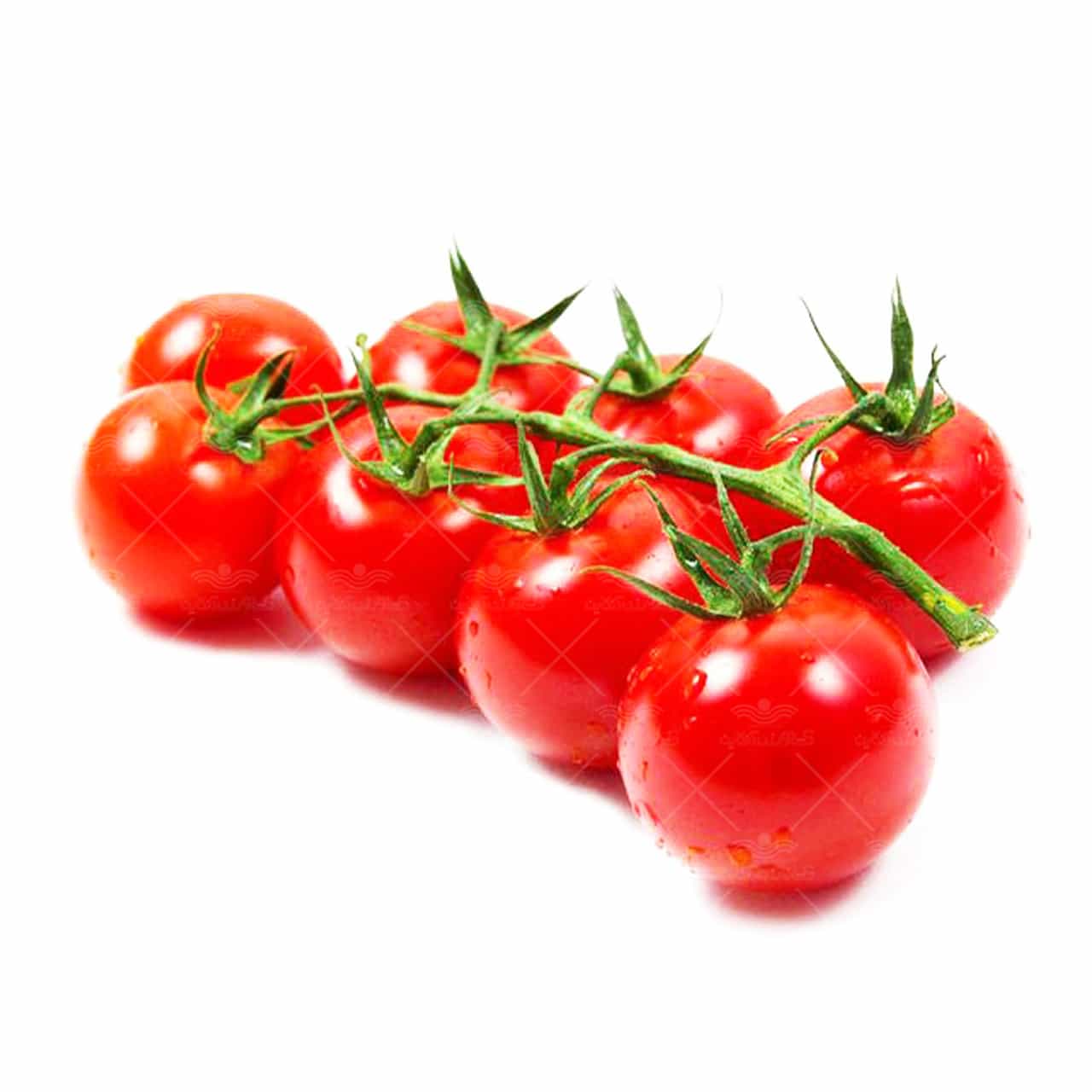 تصویر 3 از قیمت روز گوجه گیلاسی