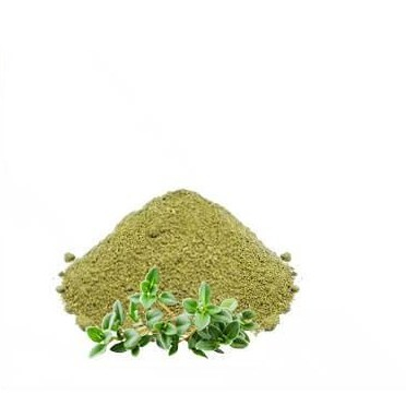 تصویر 1 از قیمت آویشن خشک + خرید باور نکردنی