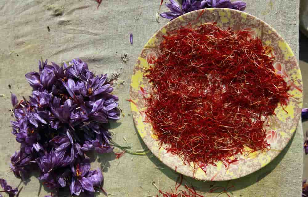 تصویر 2 از قیمت خرید زعفران ممتاز با فروش عمده