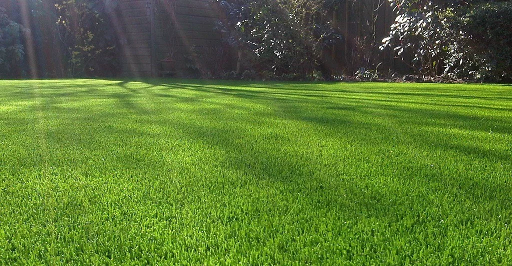 تصویر 3 از خرید مستقیم چمن مصنوعی عمده با ضمانت کیفیت