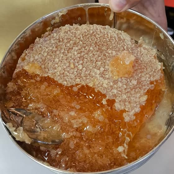 تصویر 1 از عرضه ویژه عسل شمال + خرید
