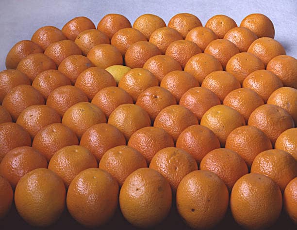 تصویر 1 از قیمت خرید پرتقال درجه یک + فروش ویژه