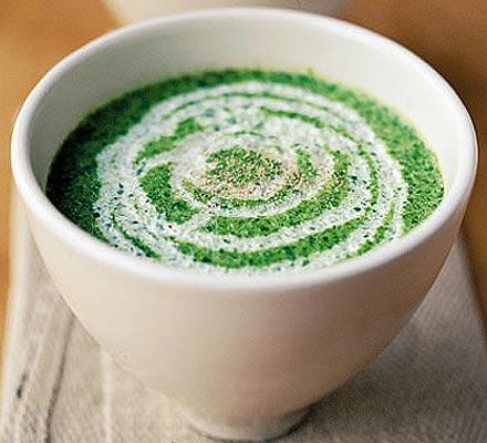 تصویر 4 از قیمت سوپ اسفناج نیمه آماده + خرید باور نکردنی