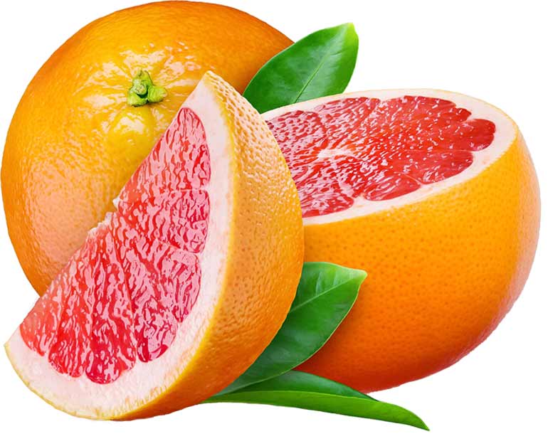 تصویر 2 از قیمت کنسانتره پرتقال میوه + خرید باور نکردنی