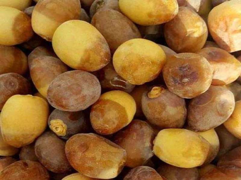 تصویر 1 از خرید خرما برحی سوپر + قیمت فروش استثنایی