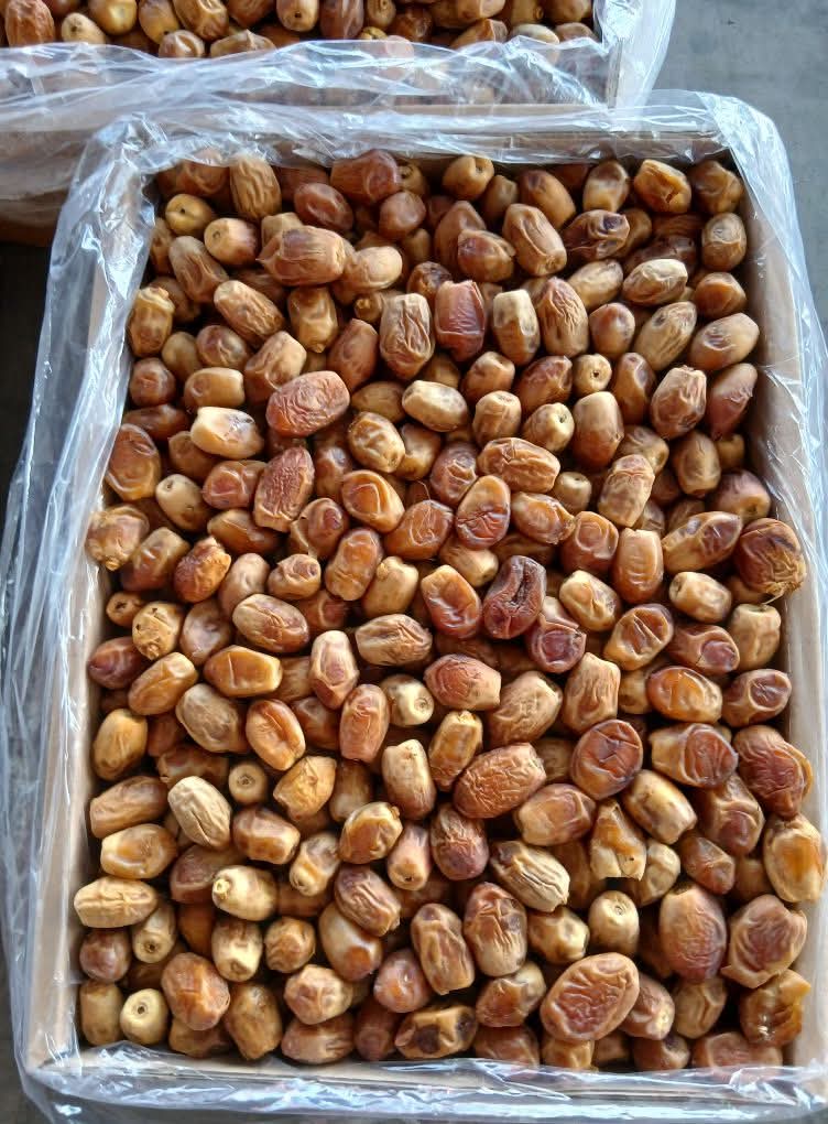تصویر 3 از خرید انواع خرما زاهدی بهترین کیفیت صادراتی درجه یک