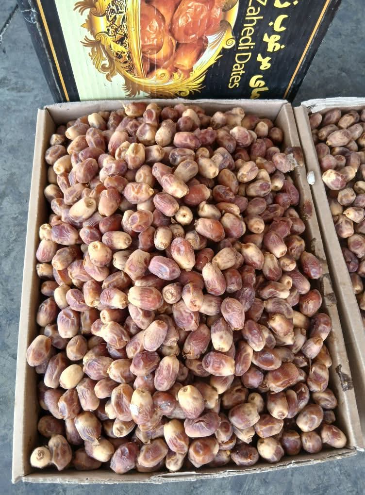 تصویر 4 از خرید انواع خرما زاهدی بهترین کیفیت صادراتی درجه یک