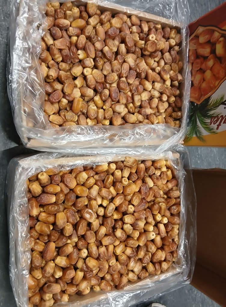 تصویر 1 از خرید انواع خرما زاهدی بهترین کیفیت صادراتی درجه یک