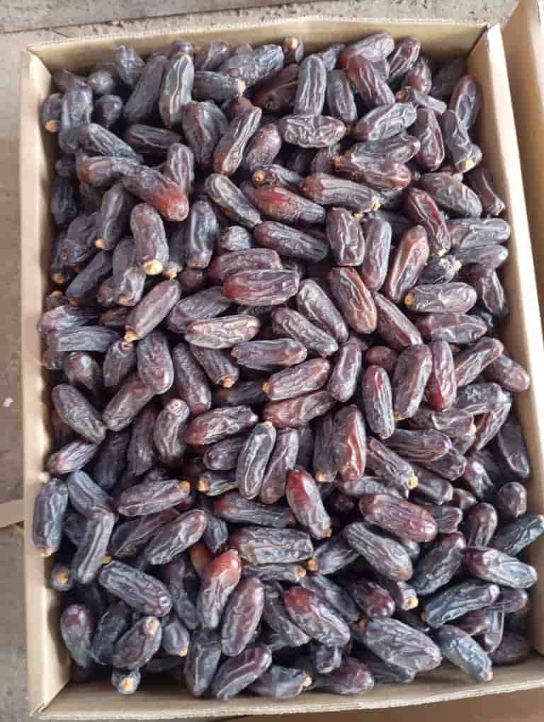 تصویر 3 از قیمت خرما ربی ارگانیک + فروش عمده
