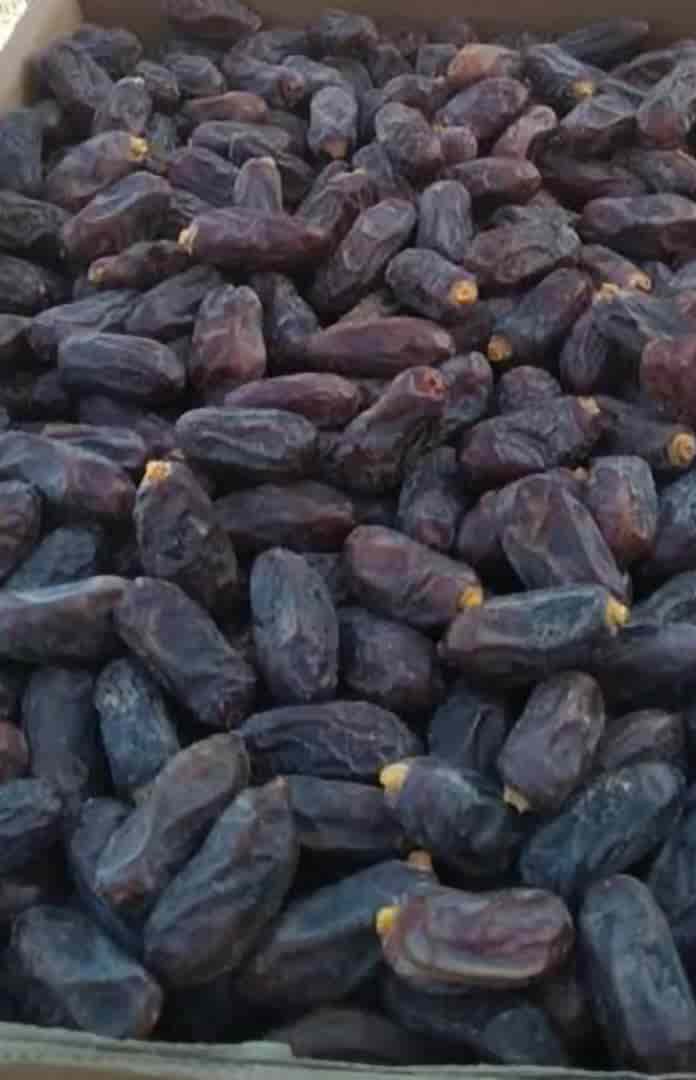 تصویر 3 از قیمت خرما ربی چابهار + فروش عمده