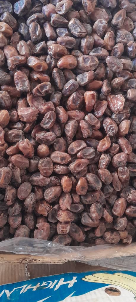 قیمت خرما زاهدی
