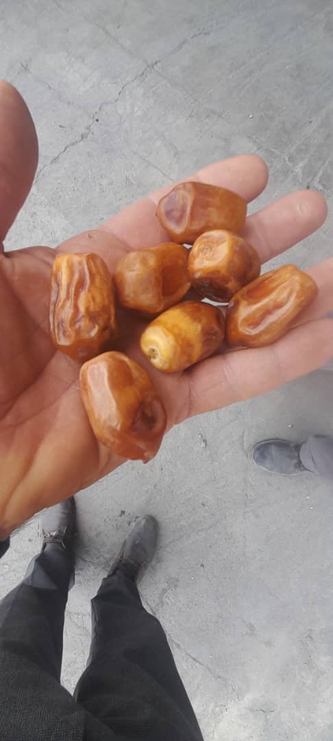 تصویر 1 از قیمت خرما زاهدی