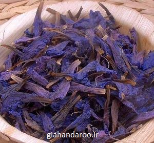تصویر 1 از فروش عمده گل گاوزبان ارگانیک صادراتی اردبیل با قیمت رقابتی
