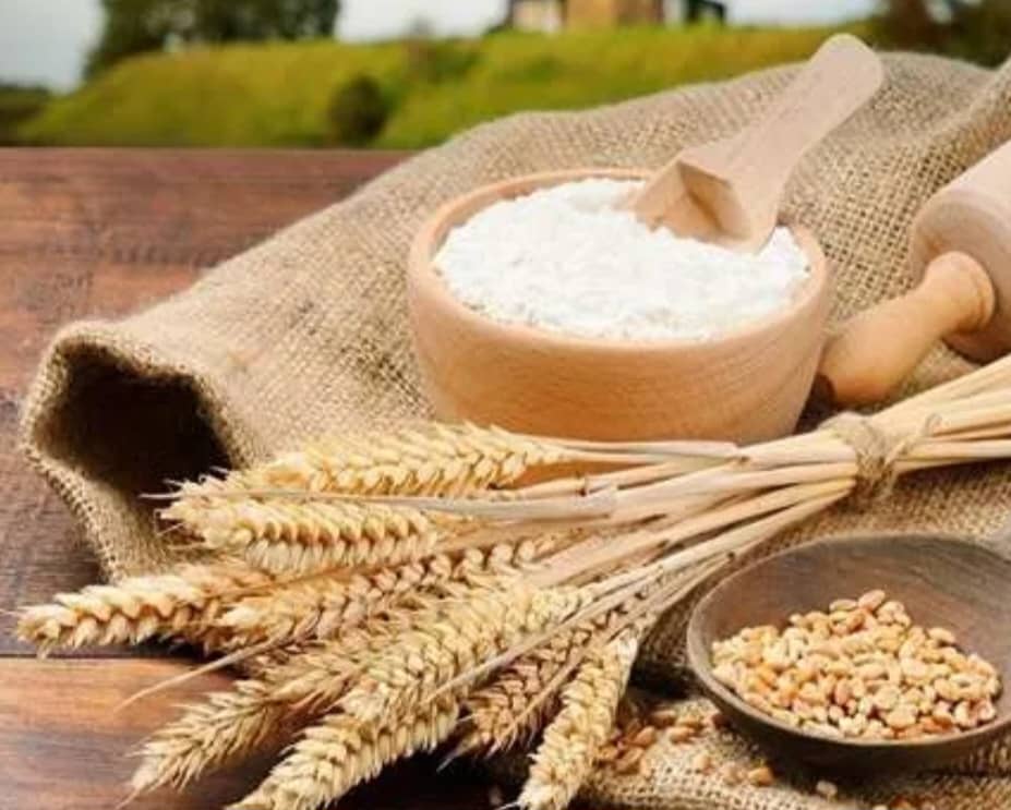 خرید و قیمت نشاسته گندم + فروش صادراتی
