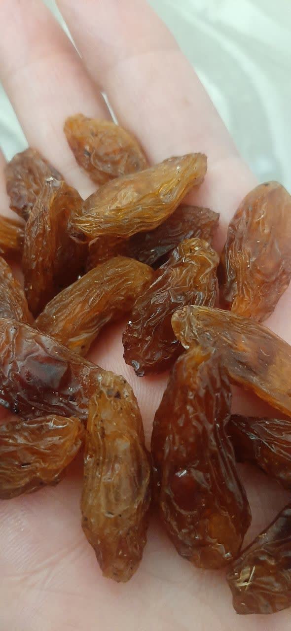 تصویر 1 از مویز هسته دار شیرازی