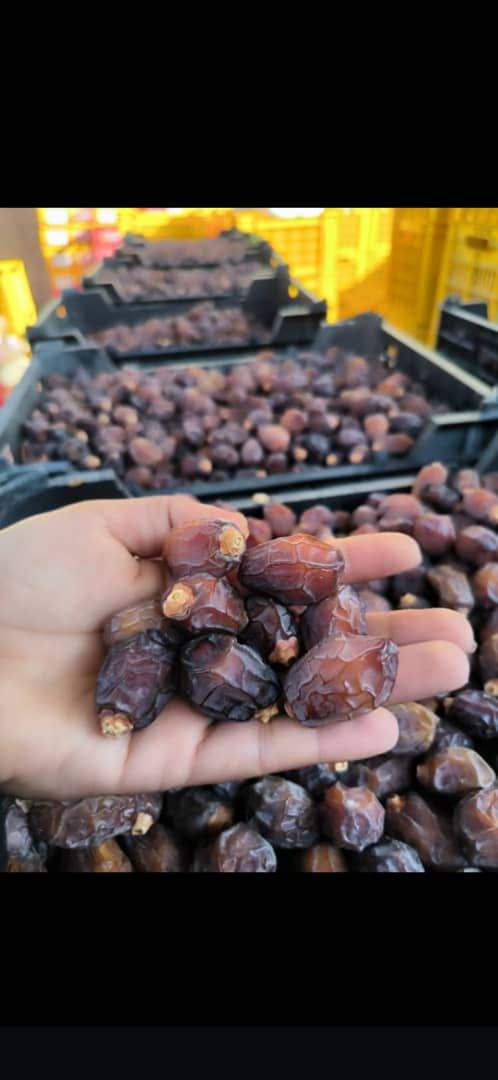 تصویر 1 از خرما خاصویی ریزه خشک + قیمت رقابتی