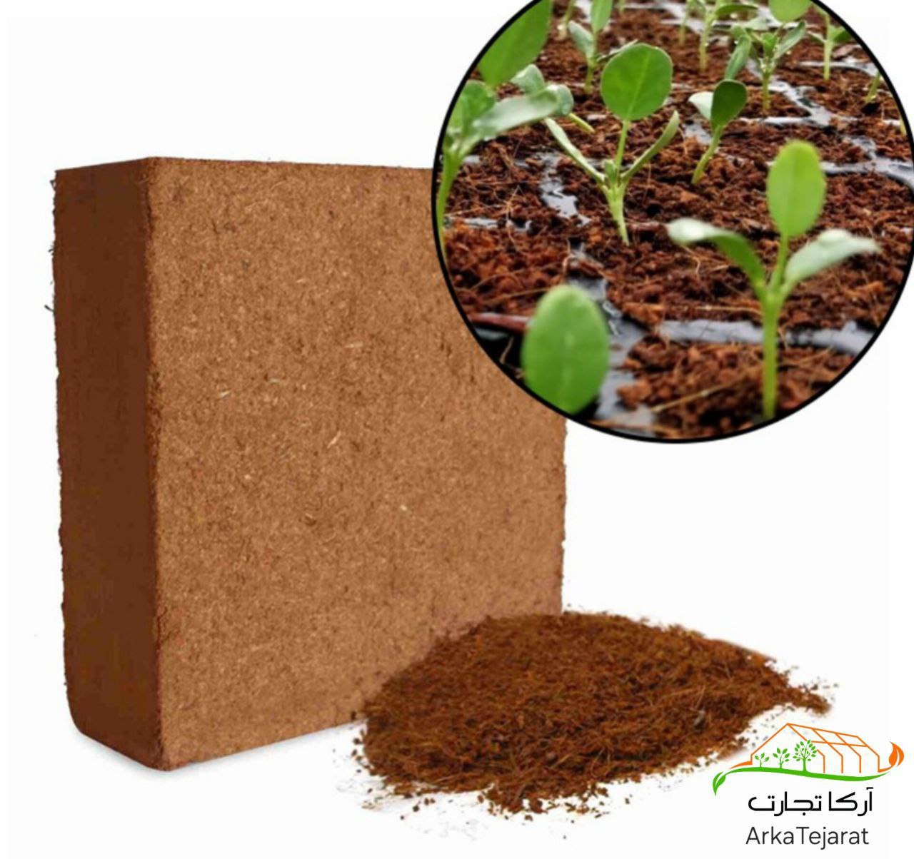 تصویر 4 از خرید عمده کوکوپیت و پیت ماس آتلانتیس در اصفهان فروش با قیمت رقابتی